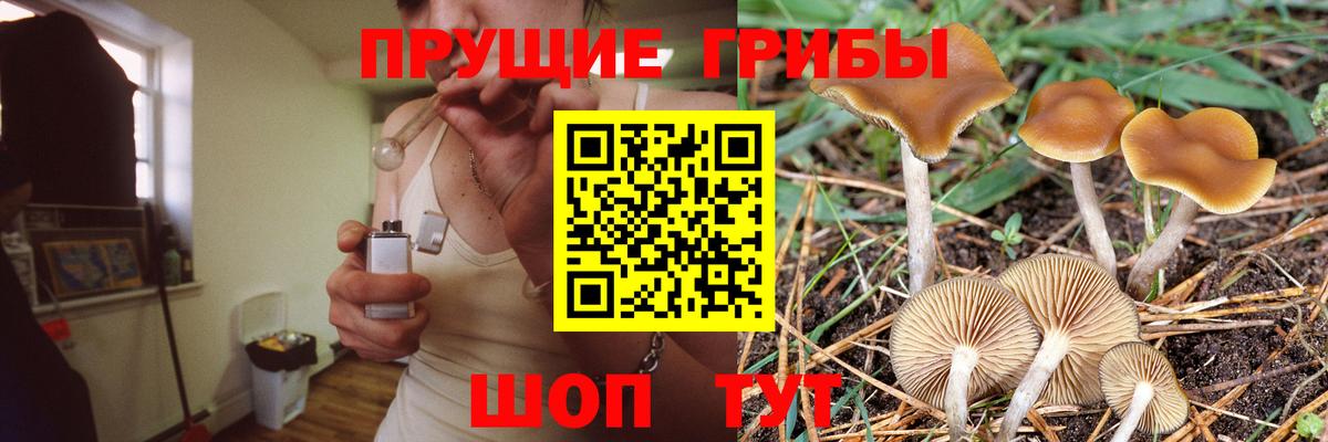 Вязники  Псилоцибиновые грибы ЛСД  Вход с VPN 